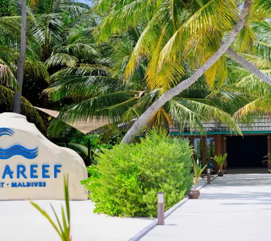 Canareef Resort Maldives