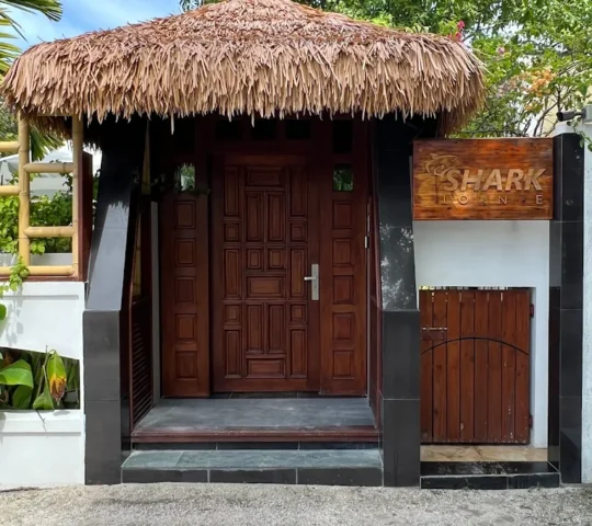 Shark lounge Shark lounge