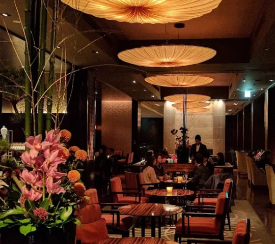 Tapas Molecular Bar