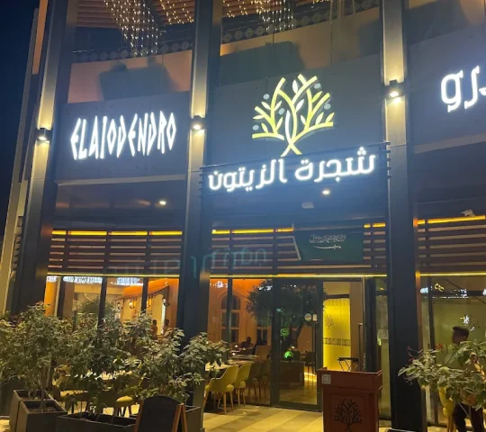 Elaiodendro Restaurant